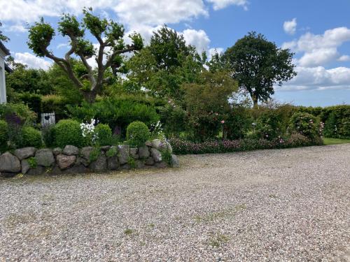 En have udenfor Marielyst B&B - Apartments