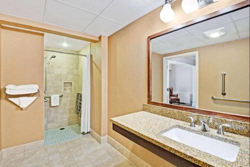a bathroom with a sink and a shower and a mirror at Hotel Royal Le Mount Near IGI Airport Delhi in New Delhi