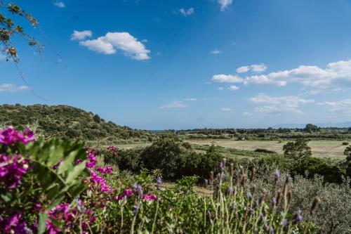 Φυσικό τοπίο κοντά σε αυτή η παραθεριστική κατοικία