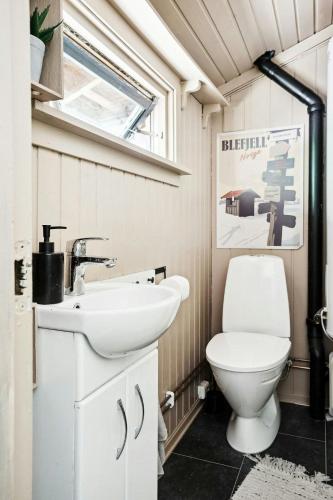 a bathroom with a toilet and a sink at Cosy Cabin With Annex At Blefjell in Kongsberg