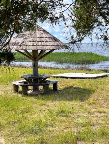 a picnic table with a straw umbrella on the beach at Rasiņas in Cesvainieki