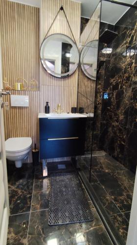 a bathroom with a sink and a toilet and a mirror at Darlar Loft in Deva