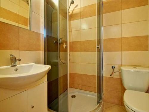 a bathroom with a sink and a shower and a toilet at Willa Zielone Wzgórze in Okuninka