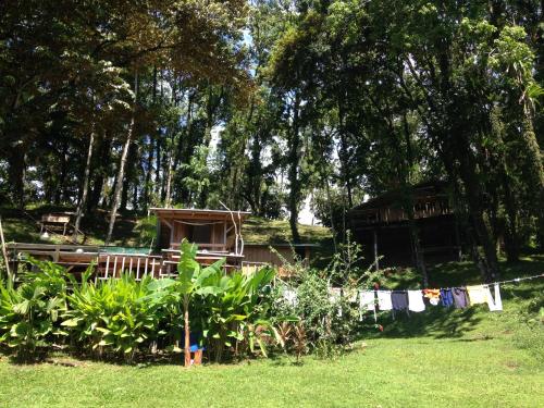 a yard with a clothes line with a house at Villa ibiscus in Bastimentos