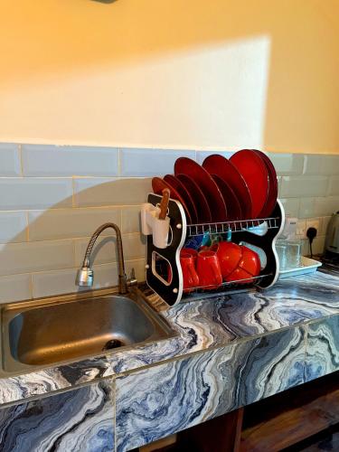 a kitchen counter with a sink and a tray of tomatoes at Tulivu Zanzibar in Bwejuu
