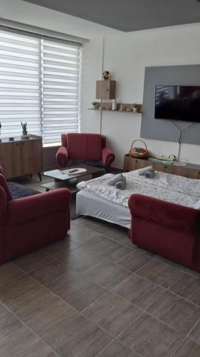 una sala de estar con una cama y un sofá en Apartman SANI, en Donji Milanovac