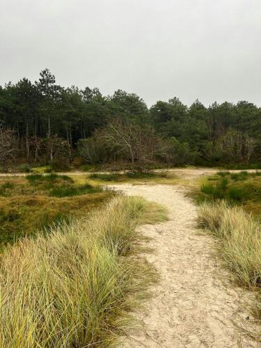 a dirt road in a field with grass and trees at Summerhouse In Forest Near Rørvig Beach in Nykøbing Sjælland
