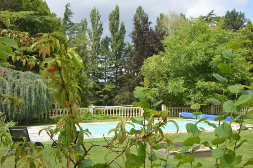 Πισίνα στο ή κοντά στο Modern Gîte In The Heart Of Château De Champagnat