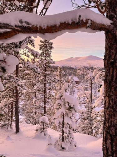 a view of a snow covered forest with trees at Cozy Cabin At The Gateway To Jotunheimen in Vaga