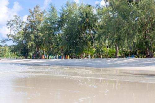 an empty beach with trees in the background at Mafiya Resort in Koh Rong Island