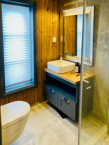 a bathroom with a sink and a toilet and a mirror at Fantastisk Familiehytte Nær Geilo in Geilo