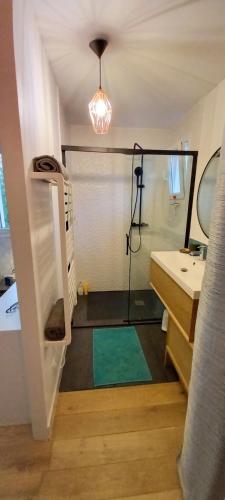 une salle de bain avec une douche, un lavabo et un miroir dans l'établissement Villa Overlooking The Blavet Gorges, à Saint-Paul-en-Forêt