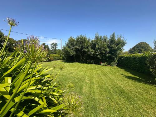 une cour avec de l'herbe verte, des arbres et des buissons dans l'établissement Maison familiale Morgat, jardin clos, à Crozon
