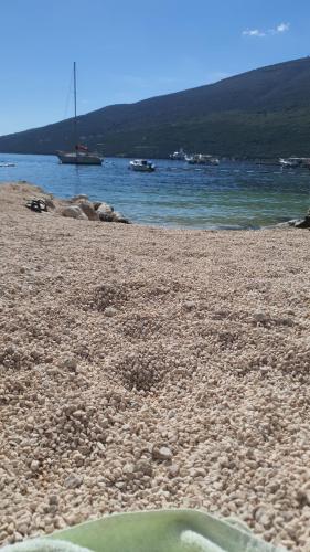 a rocky beach with a boat in the water at Zdravka in Ðenovići
