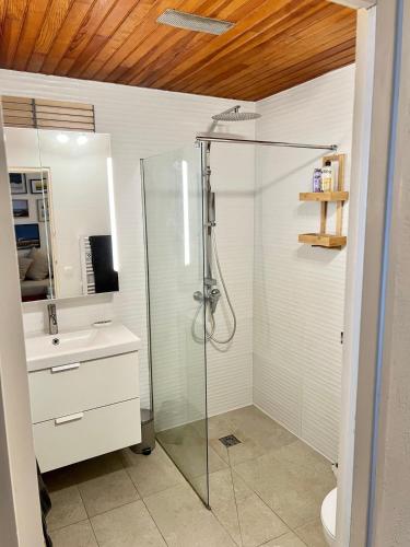 une salle de bain avec douche et lavabo dans l'établissement Le 140, Surf et Confort, à Seignosse