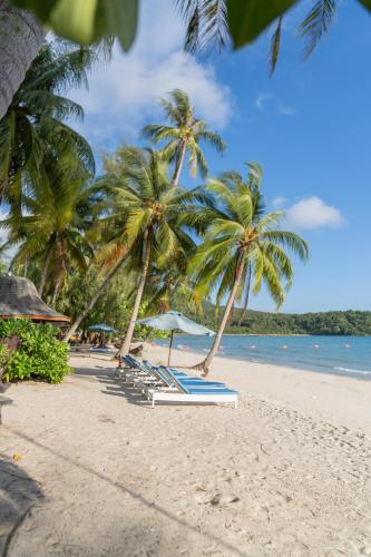 a beach with chairs and palm trees and the ocean at Mafiya Resort in Koh Rong Island