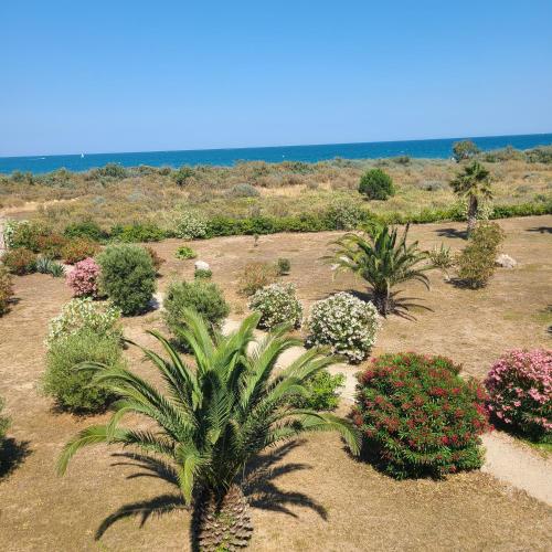 Photo de la galerie de l'établissement Appartement à Saint Cyprien les pieds dans l'eau Vue Mer Piscine, à Saint Cyprien Plage