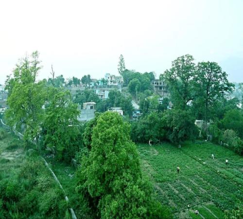 a view of a field with trees and buildings at Hotel Namo Gange in Rishīkesh