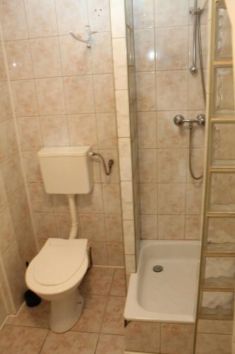a bathroom with a toilet and a shower at Agropensjonat Stręgielek in Stręgielek