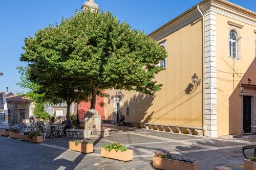a tree next to a building with a tree at The Botzos Residence - Terracotta & Olive Suites in Doukádes