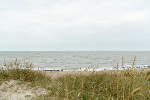 a beach with grass and the ocean in the background at A Small Wooden Hut In A Large Community in Ulfborg