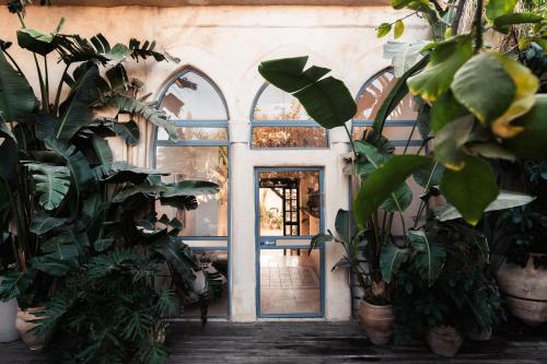 a room filled with lots of potted plants at Hotel Anilevich Mansion in Beer Sheva
