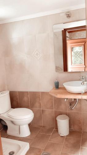a bathroom with a toilet and a sink at APARMENTS Elina in Potamiá