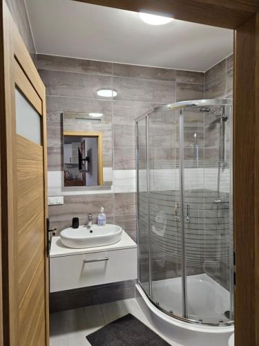 a bathroom with a shower and a sink and a tub at Chata Pod Strzechą in Lipusz