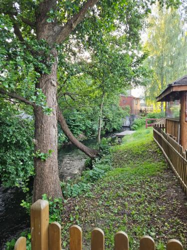 a tree next to a river next to a fence at Chata Pod Strzechą in Lipusz