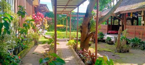 日惹Bausasran52的种有树和植物的花园