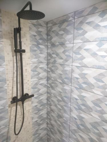 une douche avec pommeau de douche dans une salle de bain dans l'établissement La Crapouillette, à Lège-Cap-Ferret