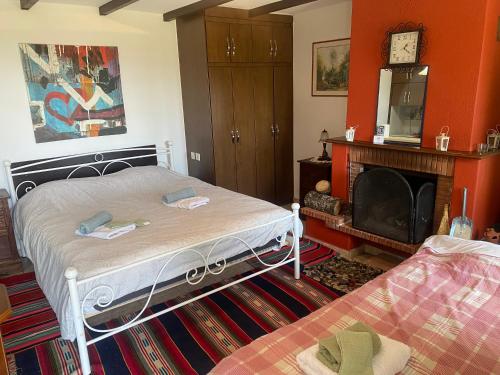 a bedroom with a bed with a fireplace and a tv at To σαλέ της λίμνης 2 in Kalyvia Fylaktis
