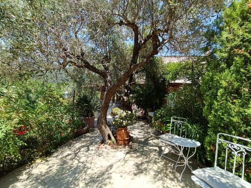 Κήπος έξω από το La Cabana Cinque Terre Monterosso