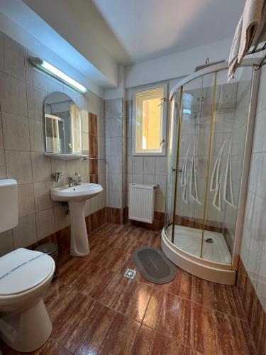 a bathroom with a shower and a toilet and a sink at Vila Ilinca in Agigea