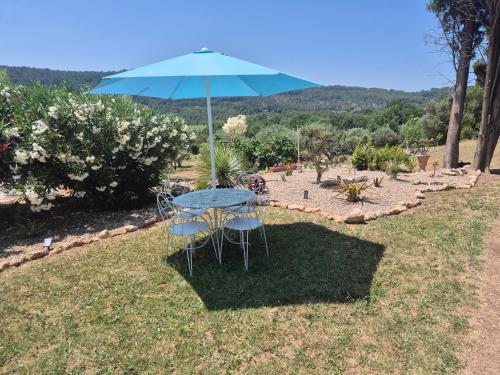 a table and chairs under an umbrella in the grass at Gites Colline De Sollies in Salernes