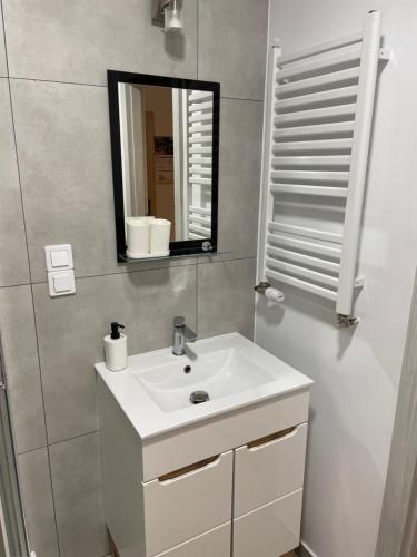 łazienka z białą umywalką i lustrem w obiekcie Uroczy apartament w kurorcie w Kudowie Zdroju