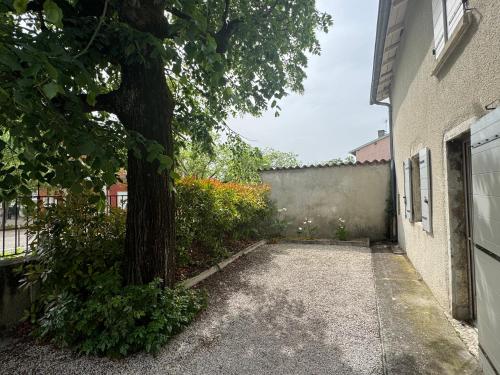 a tree sitting next to a sidewalk next to a building at Spacious renovated villa Groupama Stadium LDLC in Décines-Charpieu