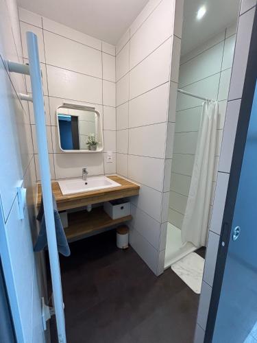 une salle de bain avec un lavabo et un miroir dans l'établissement Les Gîtes de la Frérie, à La Gaubretière