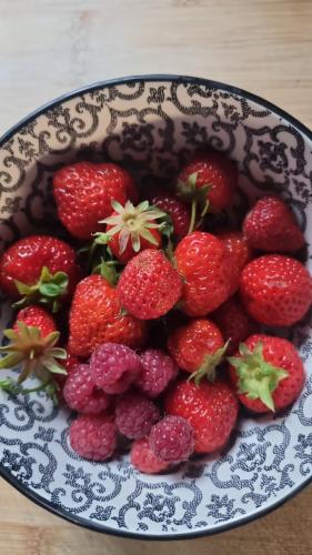 a plate of strawberries sitting on a table at PINE COTTAGE- 5 minutes Francorchamps - charme -piscine-calme-jardin in Sart