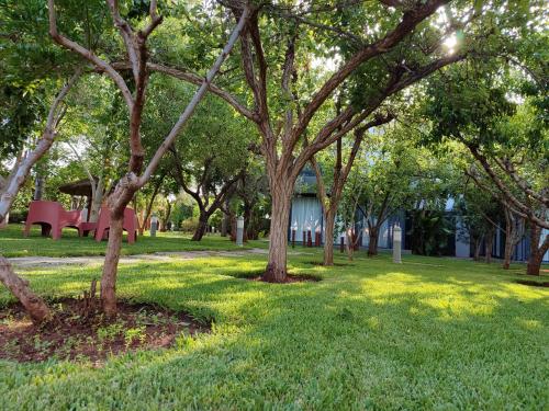 Taman di luar Riad Bella Montana