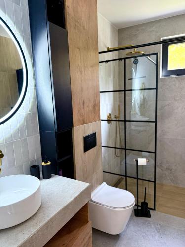a bathroom with a toilet and a sink at Makówka in Mysłakowice