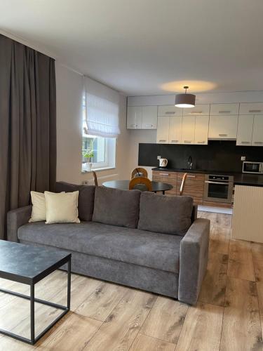 Η κουζίνα ή μικρή κουζίνα στο Apartamenty Riverside Lębork