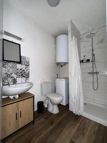 une salle de bain avec toilettes, lavabo et douche dans l'établissement T2 Spacieux et lumineux, au Puy-en-Velay