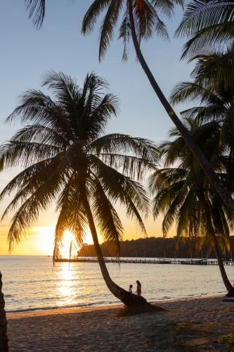 two palm trees on a beach at sunset at Mafiya Resort in Koh Rong Island