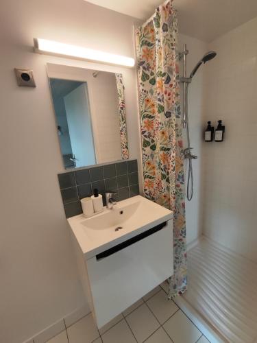 une salle de bain avec un lavabo et une douche dans l'établissement Estudio independiente, à Hendaye