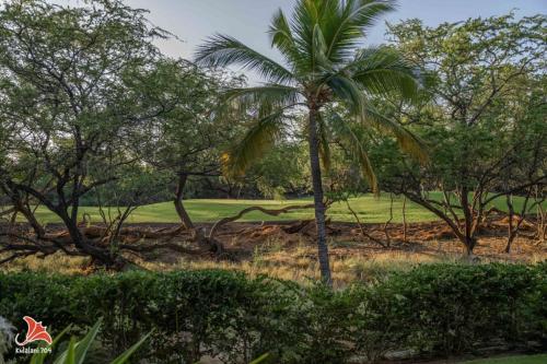 a palm tree in the middle of a field at 2BR bright quiet condo in Kulalani sleeps 6 in Waikoloa