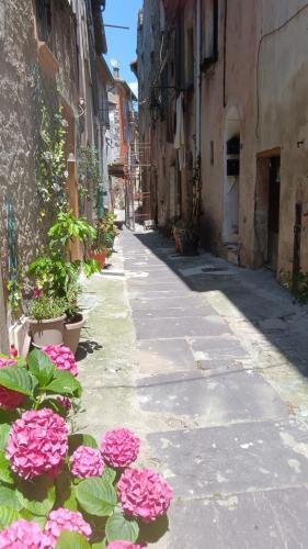 Charming apartment in Breil sur Roya