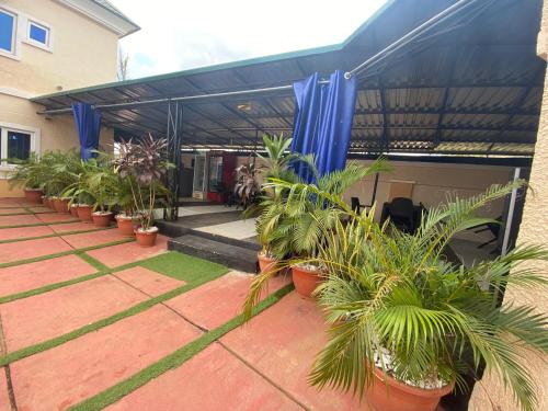 a row of potted plants in front of a building at Christees Lodge Limited in Mama