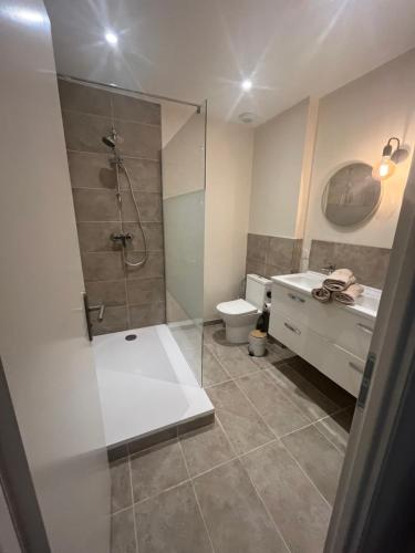 une salle de bain avec une douche, un lavabo et des toilettes dans l'établissement Appartement hyper centre-ville, à Vaison-la-Romaine
