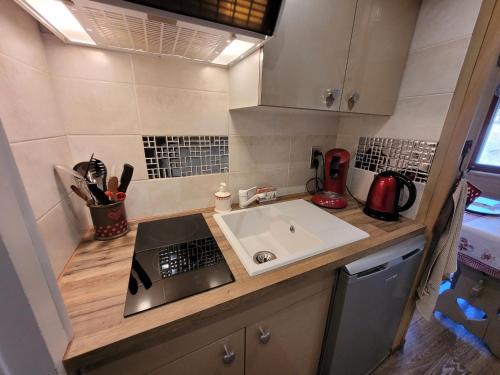 une petite cuisine avec un évier et une cuisinière dans l'établissement Studio cocooning rénové avec parking et mezzanine - FR-1-598-113, aux Gets